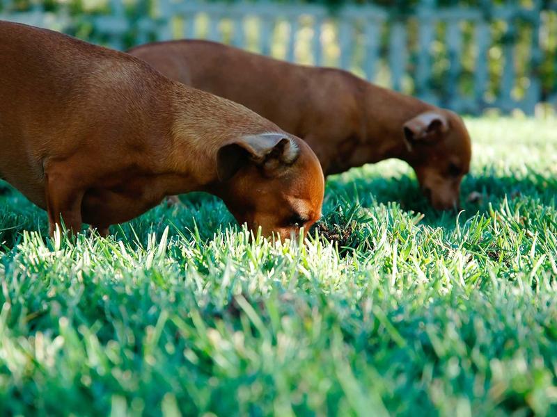 feedback screenshot 5