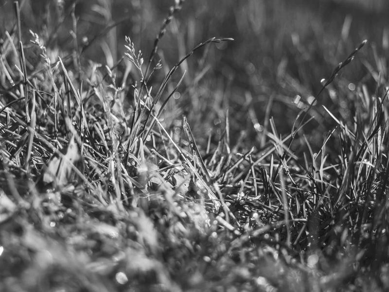 sudoku elo rating screenshot 5